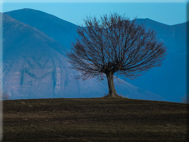 foto Salita dal Monte Tomba a Cima Grappa